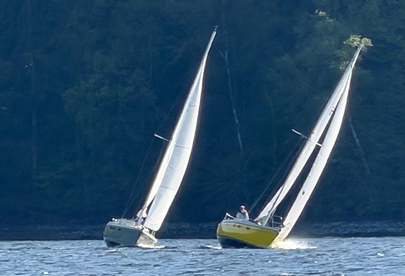 Sommerstart am Edersee: Segelkurse, Bootsverleih und stabile Wasserstände